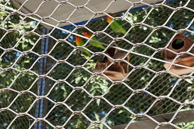  Aviary Net 