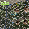 Aviary Mesh